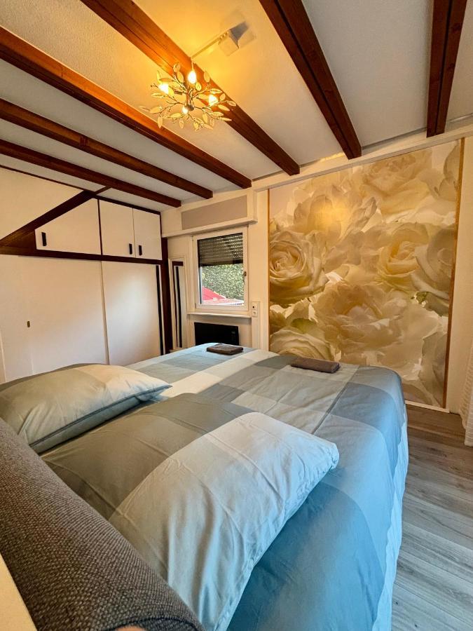 Ferienhaus Veronika Odenwald Brensbach المظهر الخارجي الصورة
